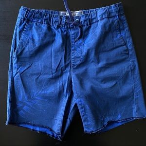 Deep Blue Modern Amusement Shorts